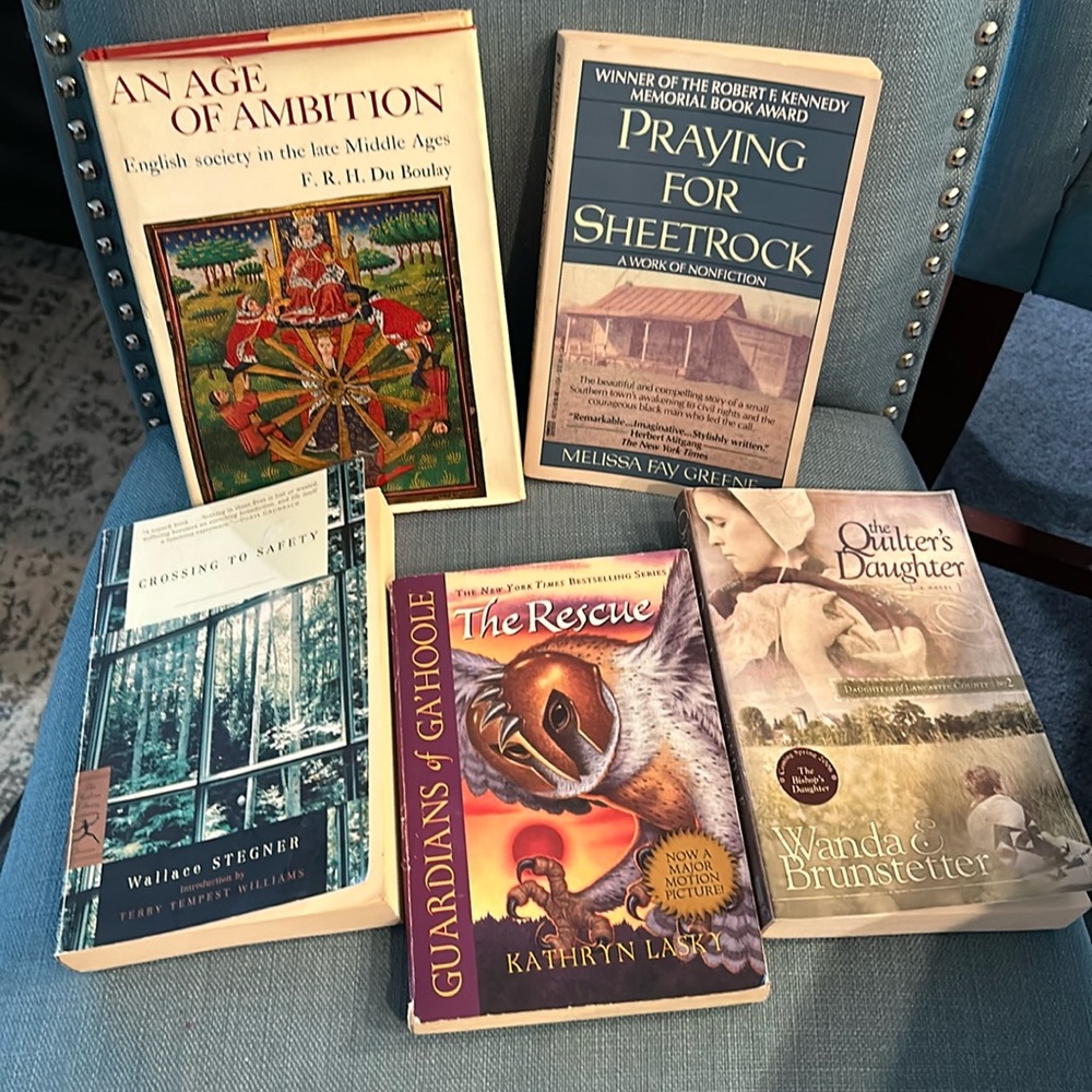 5 adult book lot, New York Times Bestsellers!